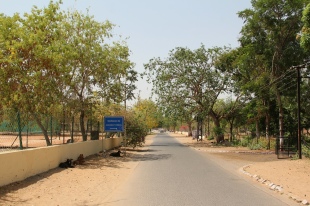 on the campus of the University of Rajasthan
