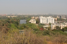 view from a hill in the park