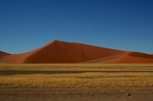 dunes of the Namib Desert