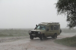 heavy rain shower in the Serengeti