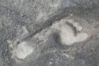Engare Sero footprint (5000-19000 years old)