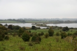 view across the nature reserve